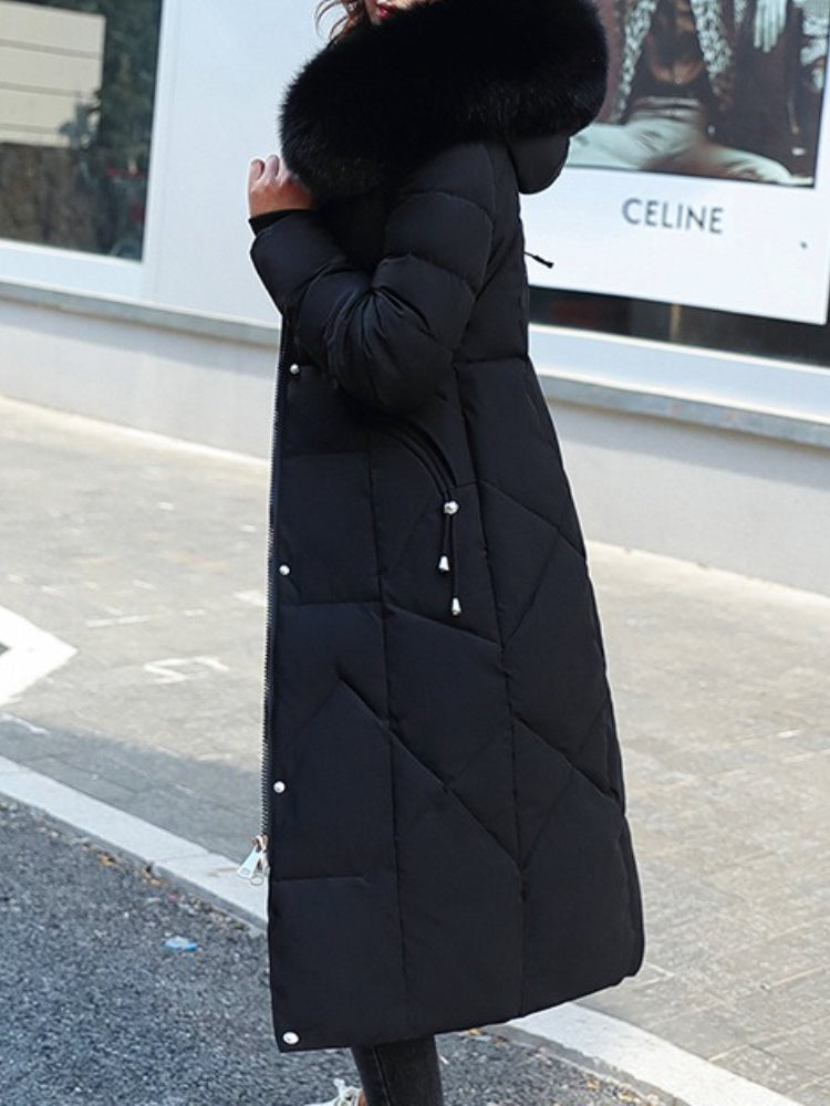Iris fashion coat